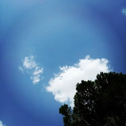 French Hill, Jerusalem, 19 April 2020